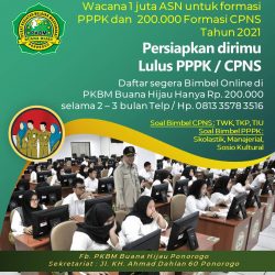 Tahun 2021 Wacana Pemerintah membuka 1 Juta ASN untuk Formasi PPPK dan -+ 200.000 formasi CPNS