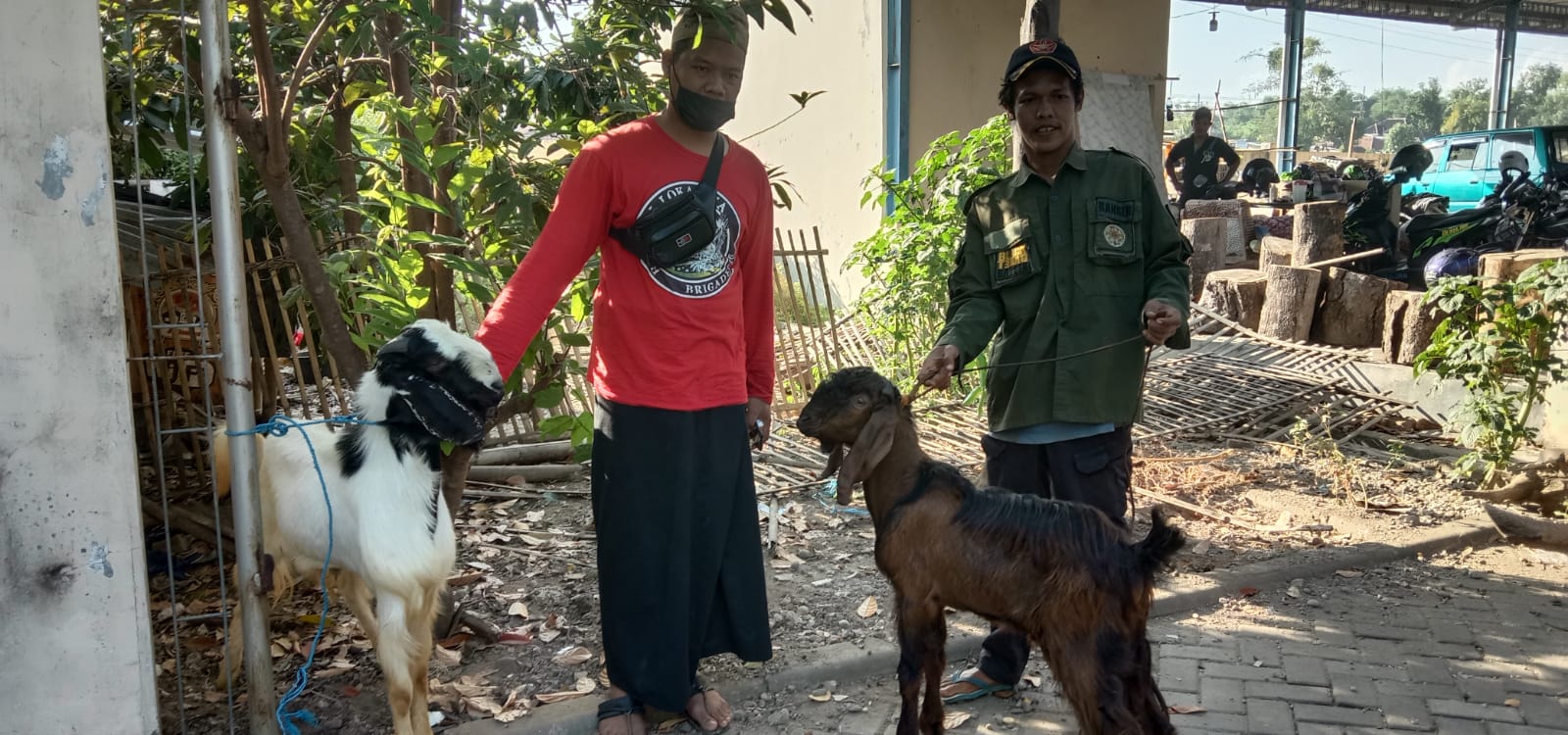 Dua ekor kambing bantuan Polres Ponorogo dan Pembina PAC GP Ansor Kota