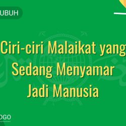 Mutiara Subuh - Ciri-ciri Malaikat yang Sedang Menyamar Jadi Manusia